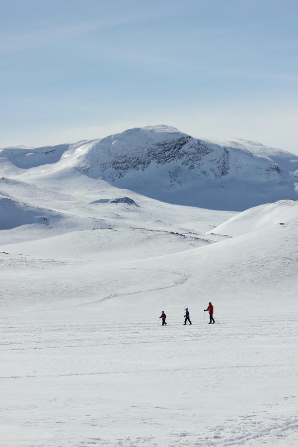 Hotel Bygdin Hoyfjellshotell Beitostolen
